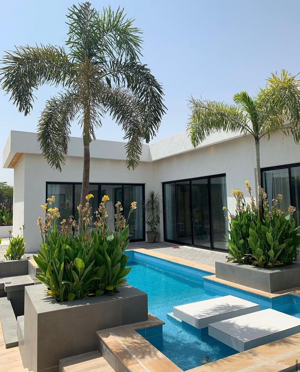 Villa pool with palm trees and planters